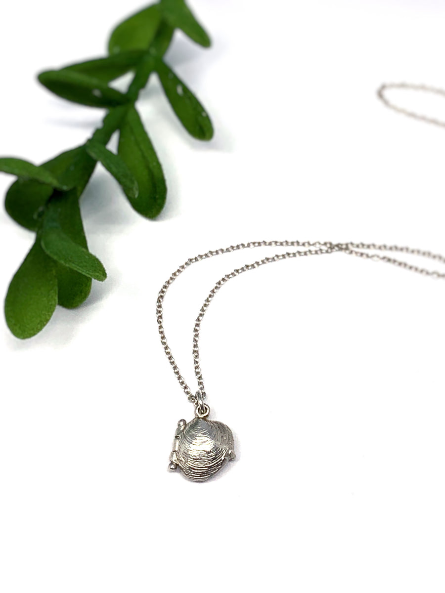 Clam Shell Necklace